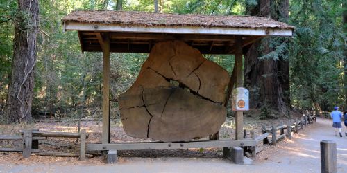 红木森林+西部小镇：Henry Cowell Redwoods State Park